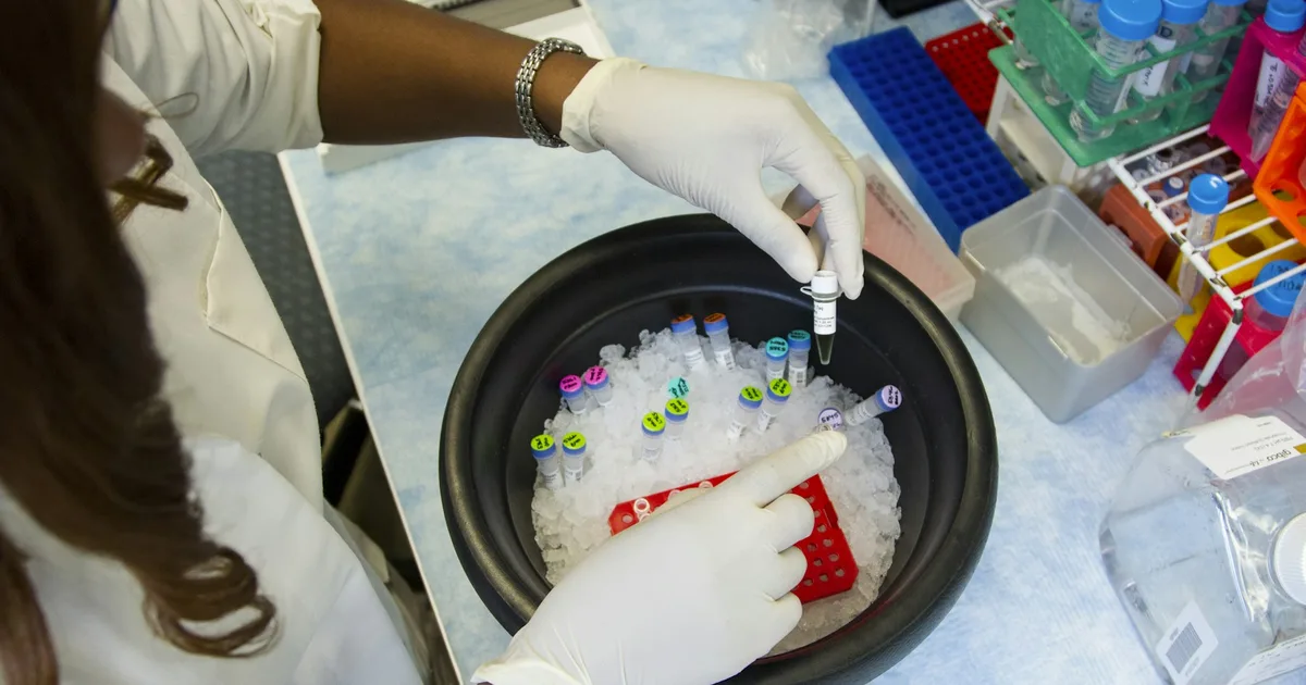 A National Cancer Institute researcher prepares genetic samples in a laboratory.